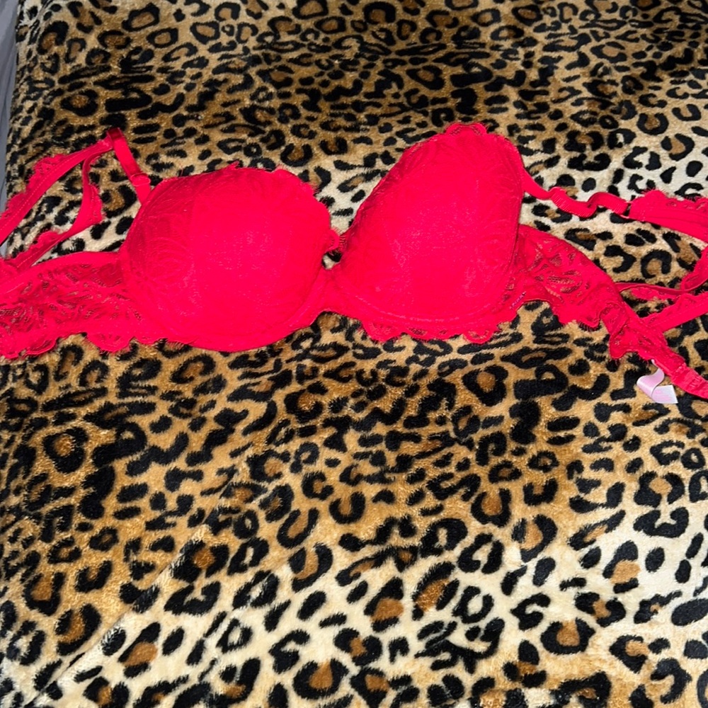 Bra